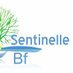 Sentinelle BF (@bfsentinelle) Twitter profile photo Sentinelle BF (@bfsentinelle) Twitter profile photo