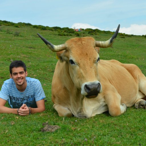 Inspector veterinario de salud pública en el Servicio Extremeño de Salud.