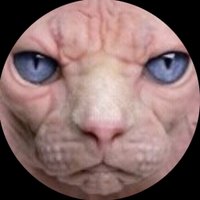 butlincat(@butlincat) 's Twitter Profile Photo