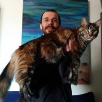Juanx Link (@juanxlink) 's Twitter Profile