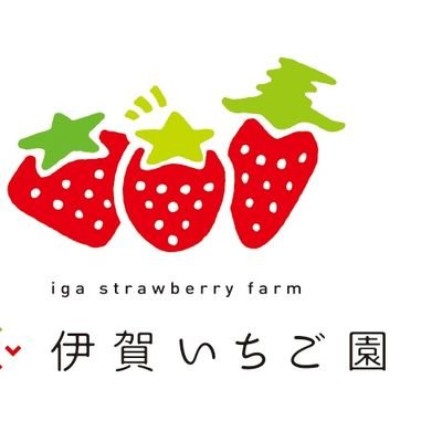 二代目当主 伊賀良真が研究に研究を重ねた魔法の肥料いちごやブレンド。こだわりの水と超減農薬で作った苺と野菜は今までの概念を変えるくらい極旨！是非！一度ご堪能下さい！