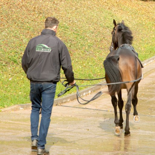 Daniel Mark Loughnane is a dual purpose Racehorse Trainer based in Worcestershire.