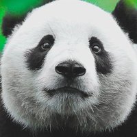 Jorge Pérez (@biojpe) 's Twitter Profile