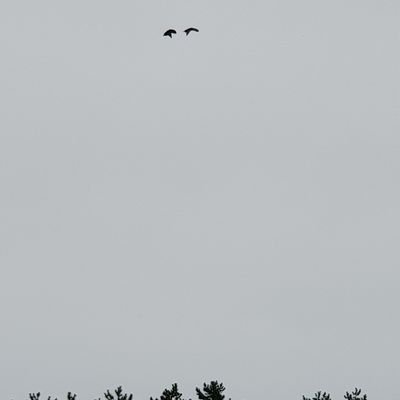 sDTMFpU27Ulb4nj's profile picture. 나비야~~~~