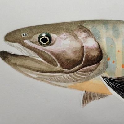 東海大生物生産学 北九州・魚部 リア垢兼趣味垢 魚や卓球、工作とか、山歩き、街歩き大好き
ヘッダー: @ne56_salmonidaeさん