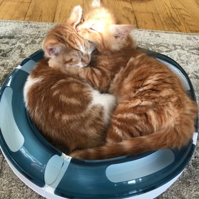 Andrea20122012's profile picture. 