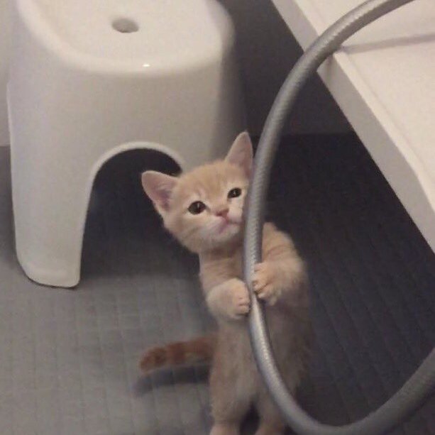 Philip11113's profile picture. 