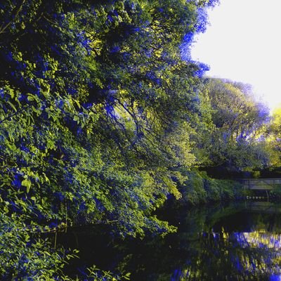 randomstuff8808's profile picture. 