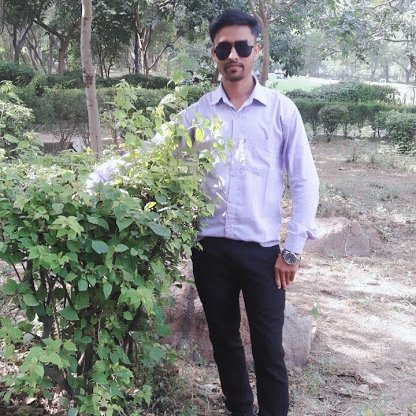 sudhirgangwar65's profile picture. Web designer and developer (WordPress Developer)