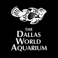 The Dallas World Aquarium (@officialdwazoo) 's Twitter Profile Photo The Dallas World Aquarium (@officialdwazoo) 's Twitter Profile Photo