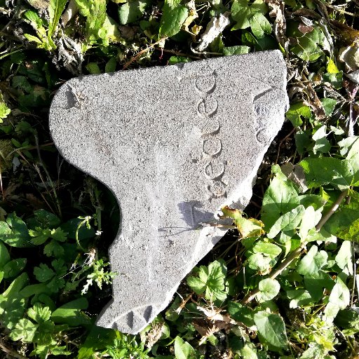 News & Updates from the Conservation Project of St James's Graveyard, one of Dublin's oldest and most historic graveyards. Owned by DCC.