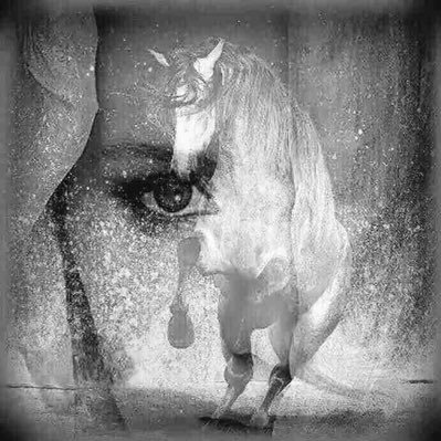 AyedSuzanne's profile picture. لا زلت اعشق عيناك رغم كل شيء 💔