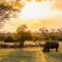 Safari Investment Advisory (@safari_invest) 's Twitter Profile Photo Safari Investment Advisory (@safari_invest) 's Twitter Profile Photo