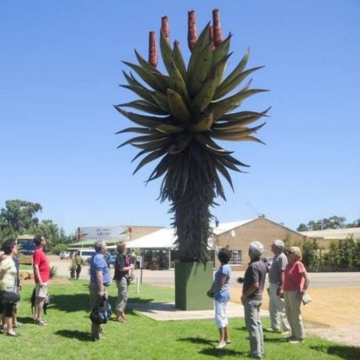 AlbertiniaINSA's profile picture. Your Gateway to Albertinia South Africa by @EJHill1977