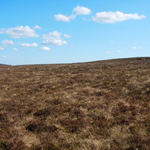 A peer-reviewed internet journal focusing specifically on mires, peatlands and peat.  Published jointly by @ipspeatlands and IMCG. #PeatTwitter