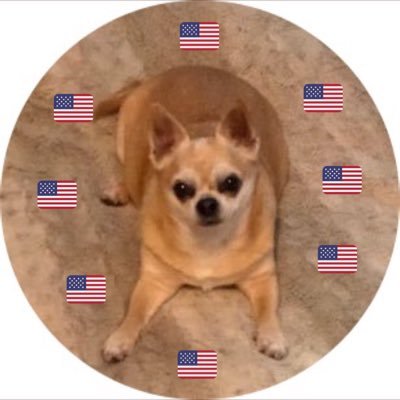 Lori_B_777's profile picture. LOVE is the answer ❤️
PRAY for ALL of God’s Children🙏

Nurse🚑Vet Wife🇺🇸PSP Mom🚔