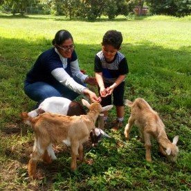 Rescatista de animales, defensora de sus derechos, comunicadora y emprendedora. Fundadora de @Colitasbox (Búscanos en Facebook e Instagram) Fan universo @wwe