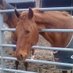 C (@ridingteach) Twitter profile photo C (@ridingteach) Twitter profile photo