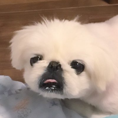 ななめストライプさんのプロフィール画像