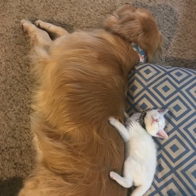 michaelrp__'s profile picture. 