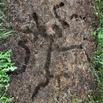 testkmc's profile picture. mostly normal, who\what