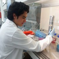 Raúl Rodríguez (@raul__rodri) 's Twitter Profile