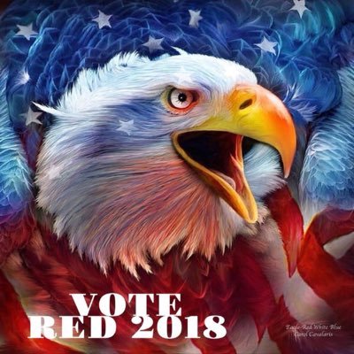 Mom to a great man patriot.lovesUSA.and our President MAGA.never give up our freedoms...I am here to support TRUMP as he supports and fights for us every day