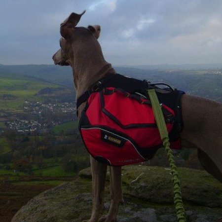 Edd_Jenns's profile picture. 