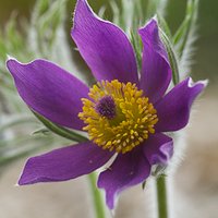 JackHen (@suehm) 's Twitter Profile