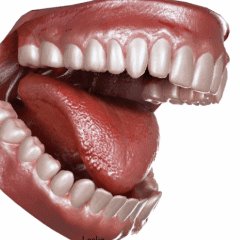 Tomasz59282296's profile picture. 