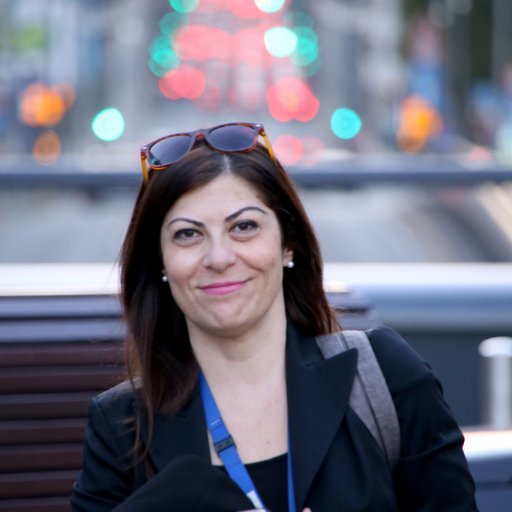 Brussels based correspondent for STAR Channel TV+Efimerida Sintakton (newspaper)-Greece.Also for RIK, Cyprus. Sometimes on EURONEWS. Retweets not endorsements.
