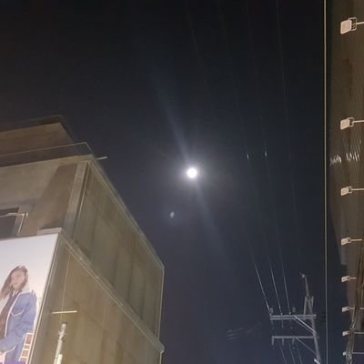 sonhong4226's profile picture. MFC, C#, android