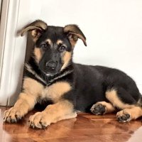 Ash (@bournereddy) 's Twitter Profile