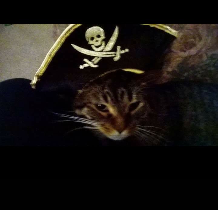 amberr0307's profile picture. RTs are not endorsements!!!