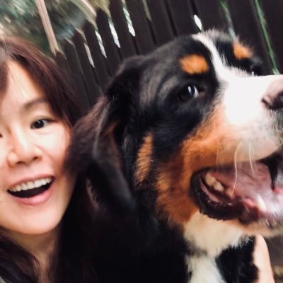 VickiJYHong's profile picture. IBEN DP/PYP Course Outline Reader, Consultant, Programme Leader, WL, SVT, IBEC Instructional Designer, Founder of IBEC Research Hub Korea, Artist & Author