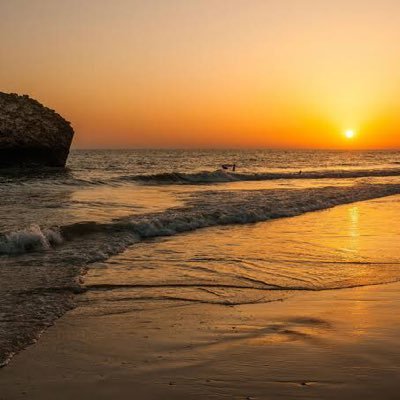 chico_s3's profile picture. 