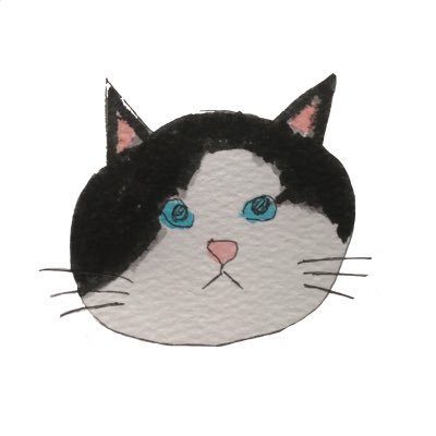 cat_erimaki Profile Picture