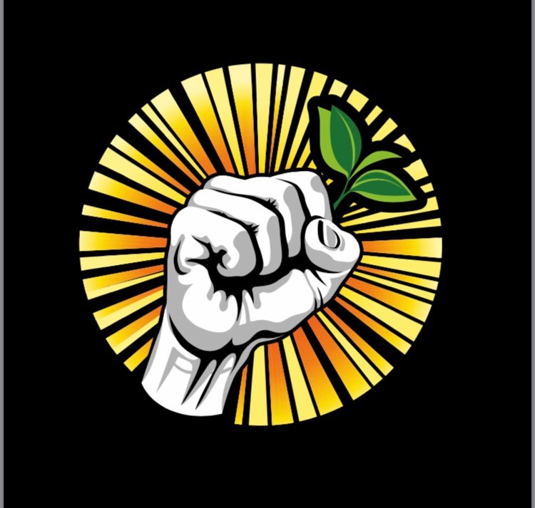 RenewalCatalyst's profile picture. Social Enterprise👨‍👩‍👧‍👦 Construction🔨 Specializing in ALL Renewable Energy🌱Eco-Wise Materials♻️Fostering Sustainability💚🤝Community👷🏼‍♀️WomanOwned💪🏼