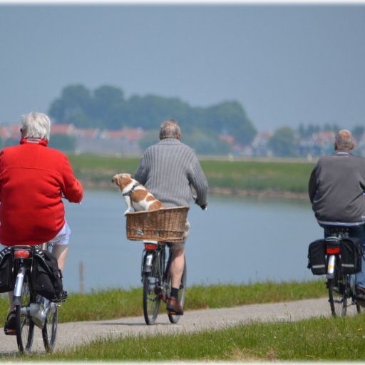 Lectoraat LG richt zich op het ondersteunen, herstellen en handhaven van de zelfredzaamheid van (met name chronisch) zieke burgers tijdens de zorg.