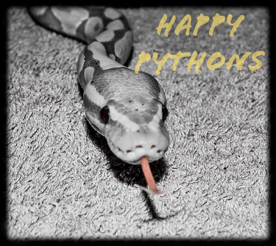 HappyPythons's profile picture. 
