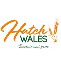 Hatch Wales(@HatchWales) 's Twitter Profile Photo