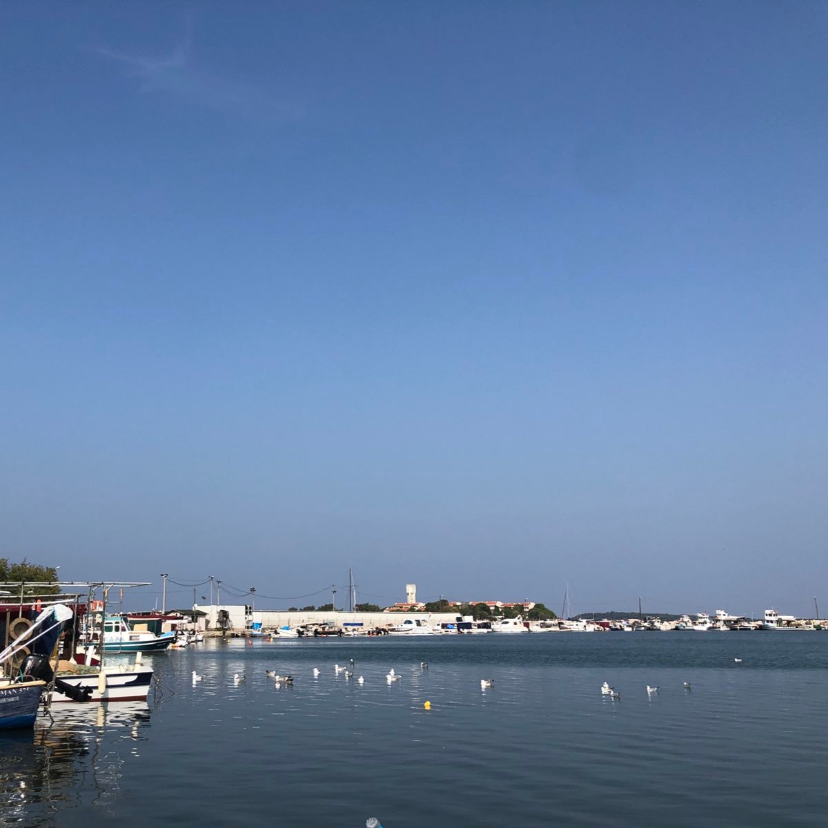 suatcemat31's profile picture. 