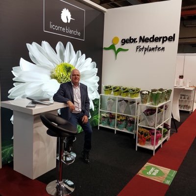 NederpelTheo's profile picture. 