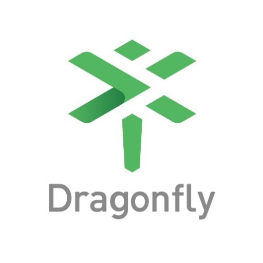 dragonfly Profile