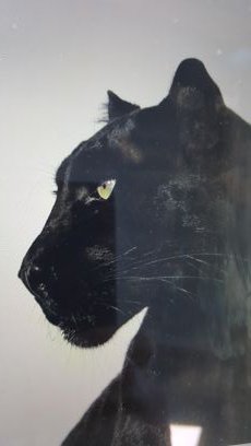 Parameterise's profile picture. 