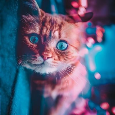 Julie66024594's profile picture. 😁limited edition!