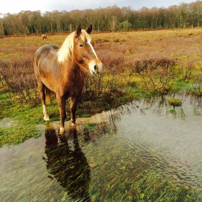 amywatk52629686's profile picture. 