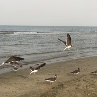 1_atoob's profile picture. 