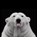 top4bear (@top4bear1) Twitter profile photo top4bear (@top4bear1) Twitter profile photo