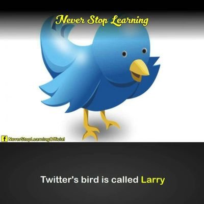 pussy_pounce's profile picture. thickdick#hardfuck,,flexibletongue#licking'n'sucking,,all for free#ifyouwannahavegoodsex#call on me and I will be there